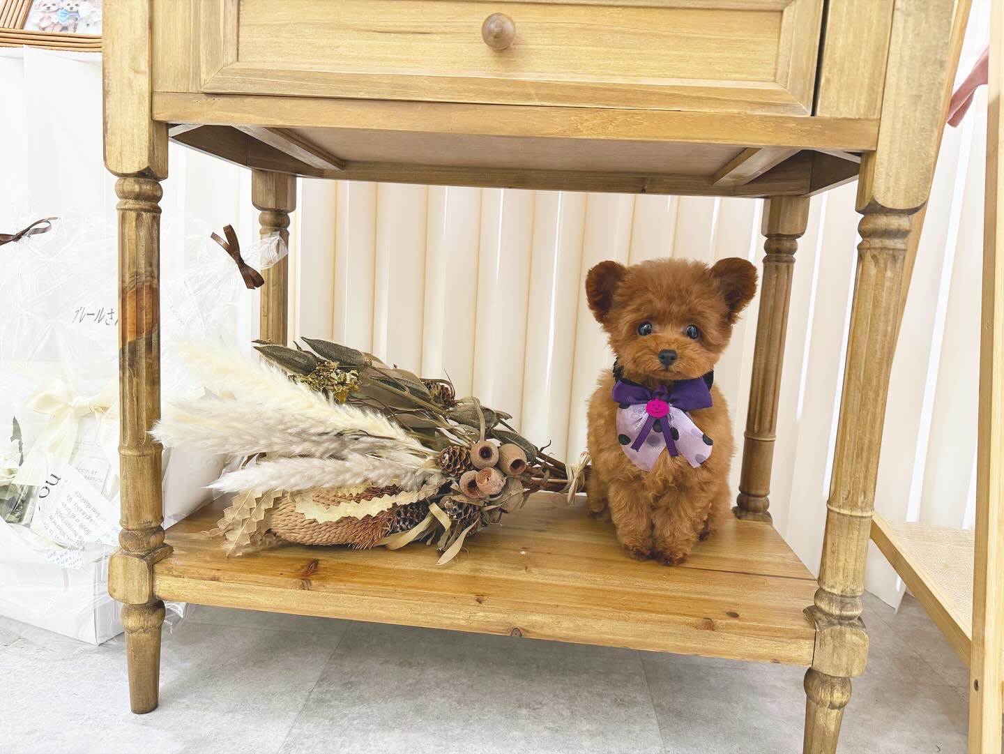 Dog No.011の画像2