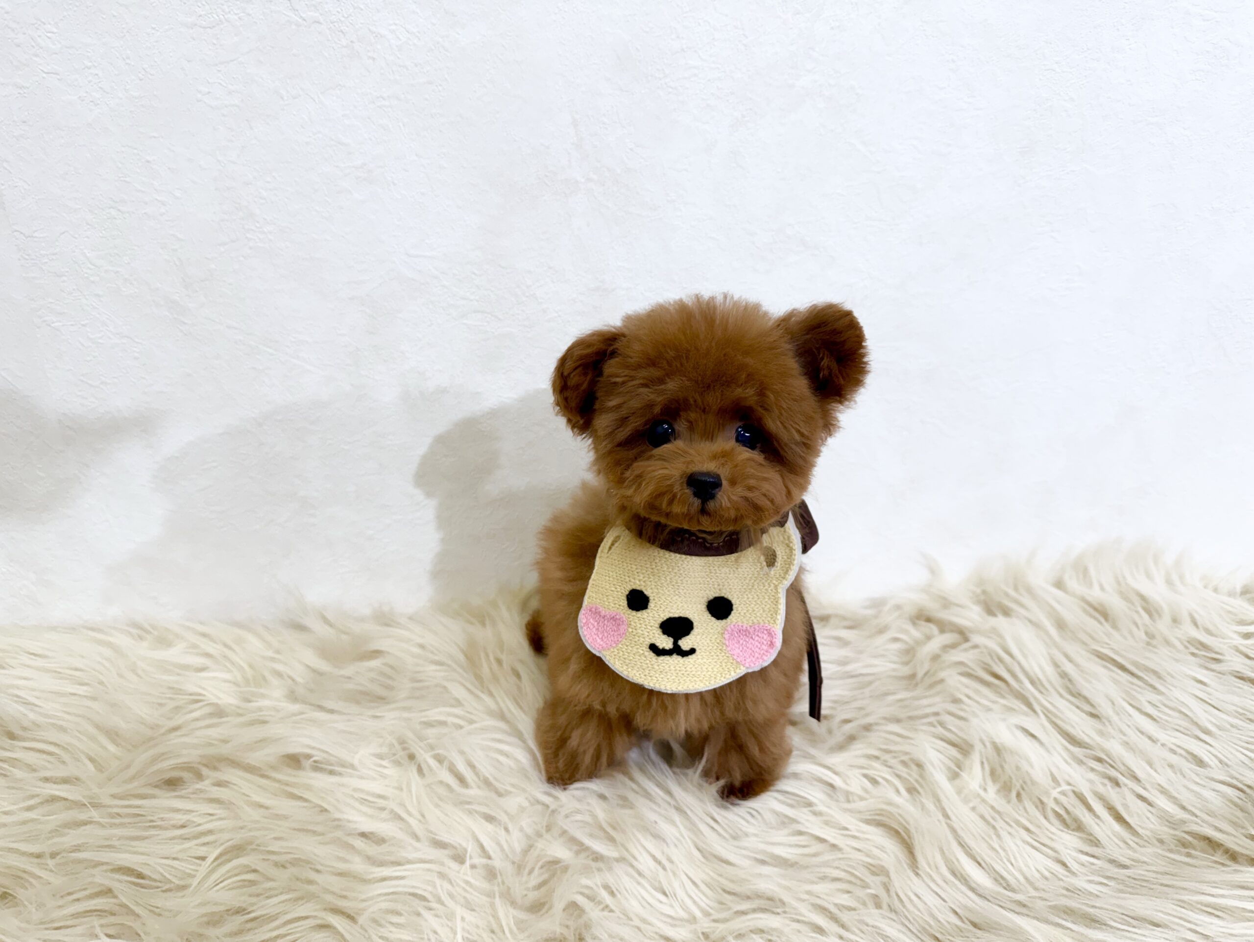 Dog No.015の画像3